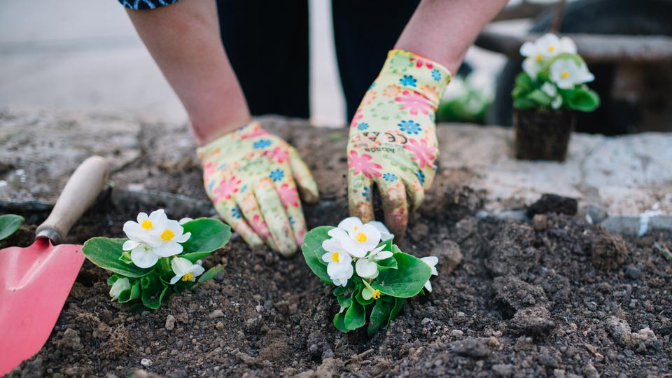 Gardening